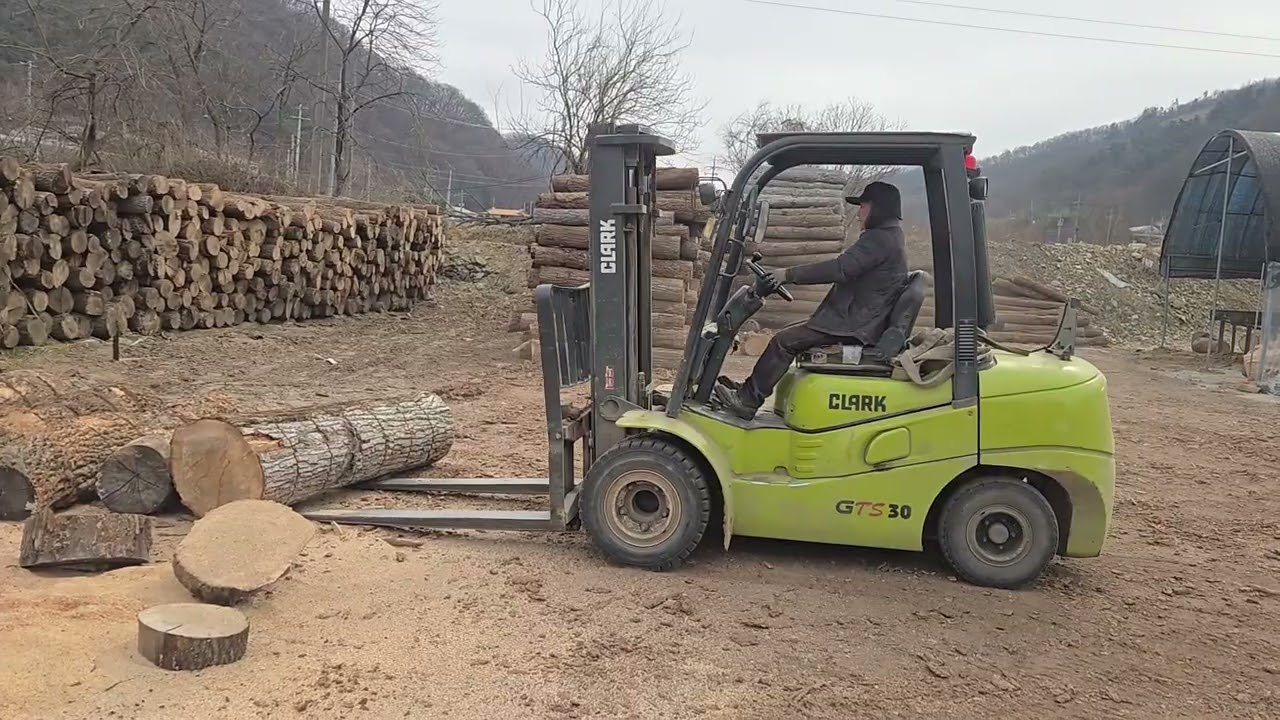 폭1미터 참나무 절단하기
