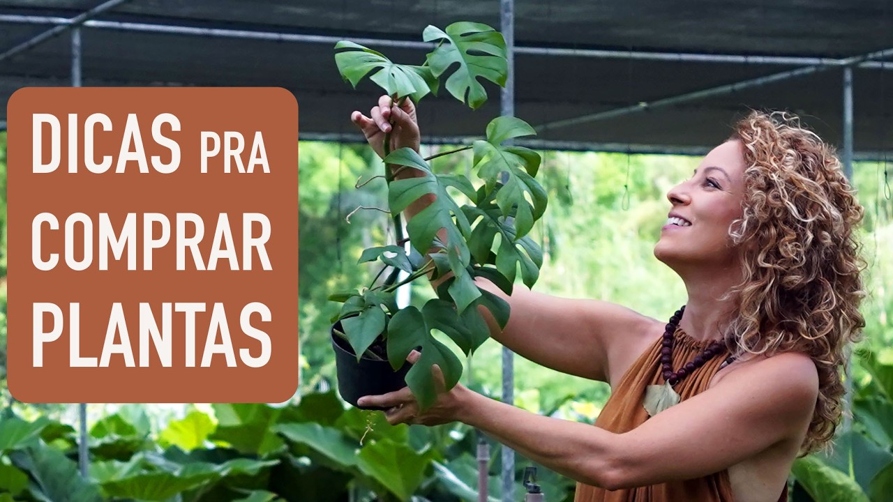 Como ESCOLHER a MELHOR PLANTA na hora de COMPRAR