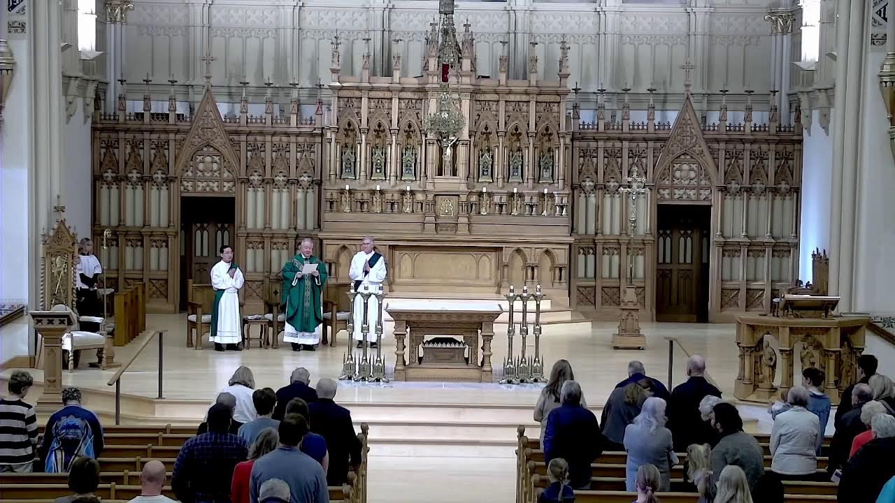 Cathedral Mass- Feb 15, 2026