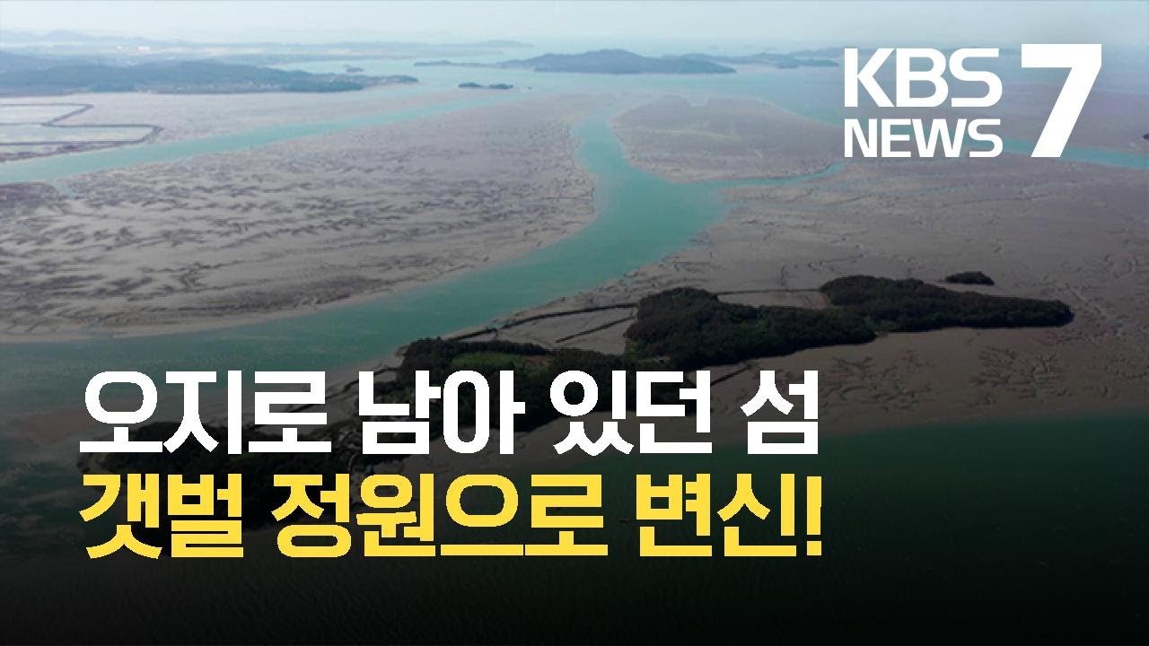 섬&middot;갯벌 생명력 만끽!&hellip;수도권 첫 &lsquo;갯벌정원&rsquo; / KBS 2021.06.02.