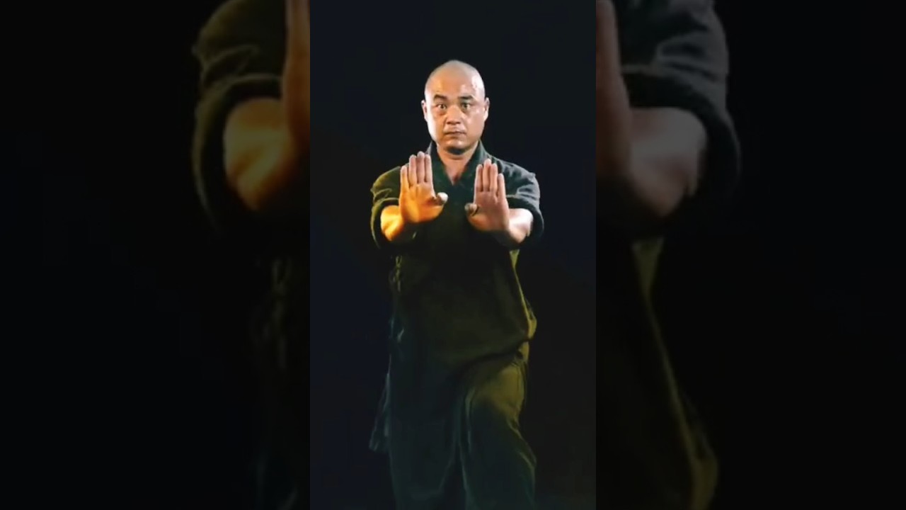 Shaolin monk Training @shaolin_kungfu786 