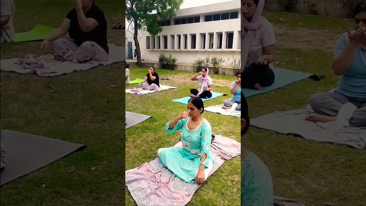 morning yoga class #music #love #cmdiyogshala #trending #motivation #yogad #yogad