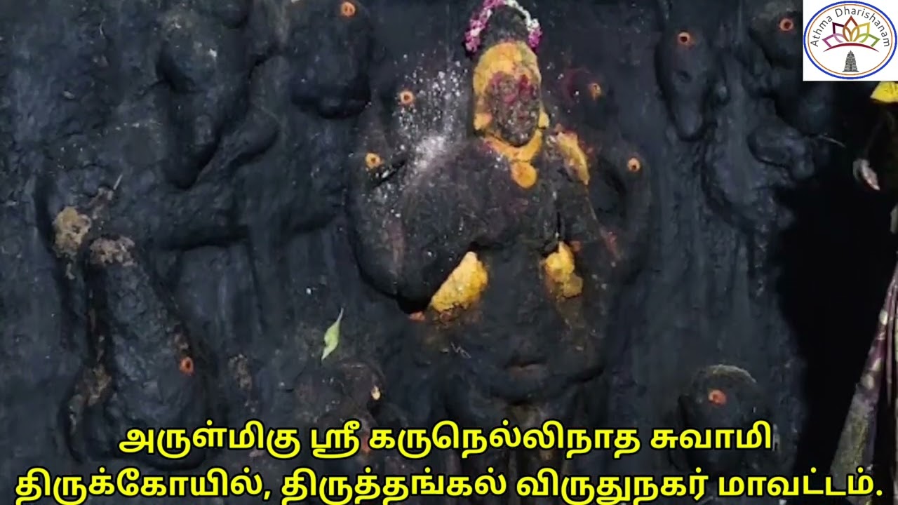 அருள்மிகு கருநெல்லிநாத சுவாமி திருக்கோயில், திருத்தங்கல் விருதுநகர் மாவட்டம்.
