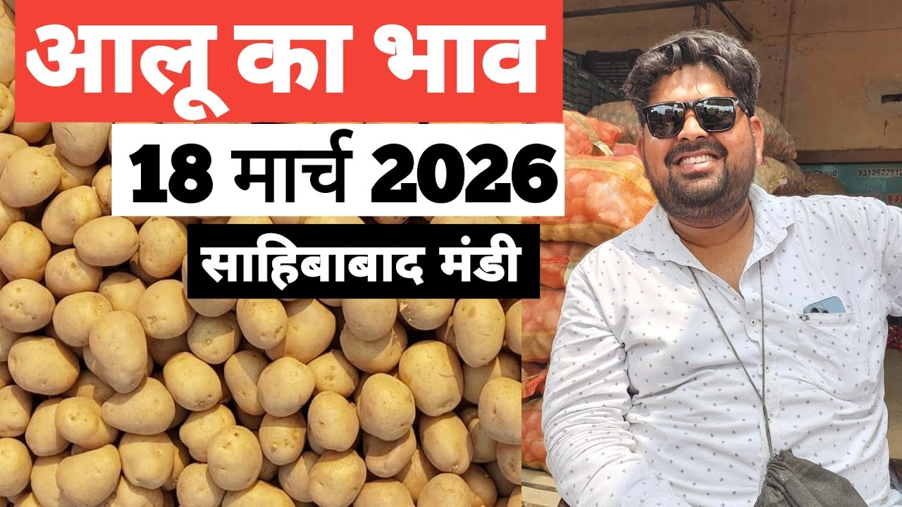 18 March 2026 🥔 आलू का भाव साहिबाबाद मंडी ।। Today Potato Rate in Sahibabad Mandi || Bharat ke Bazar