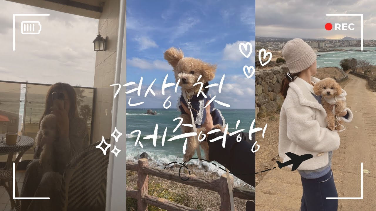 ️ ✈️2박 3일 🐶 1살 강아지와 함께 하는 첫 제주 🍊추천 스팟 🫶🏻 맛집 & 카페 ☕️