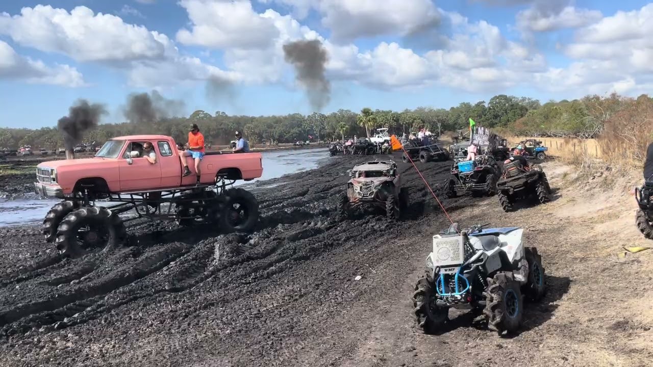 #plantbamboo #mud #mudtruck 