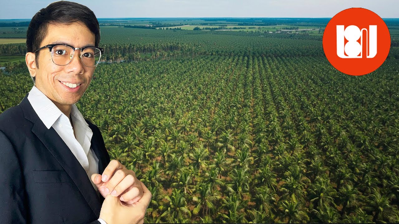 Insight Saham #130 : Prospek Bisnis saham TBLA Bakalan full Biodiesel?