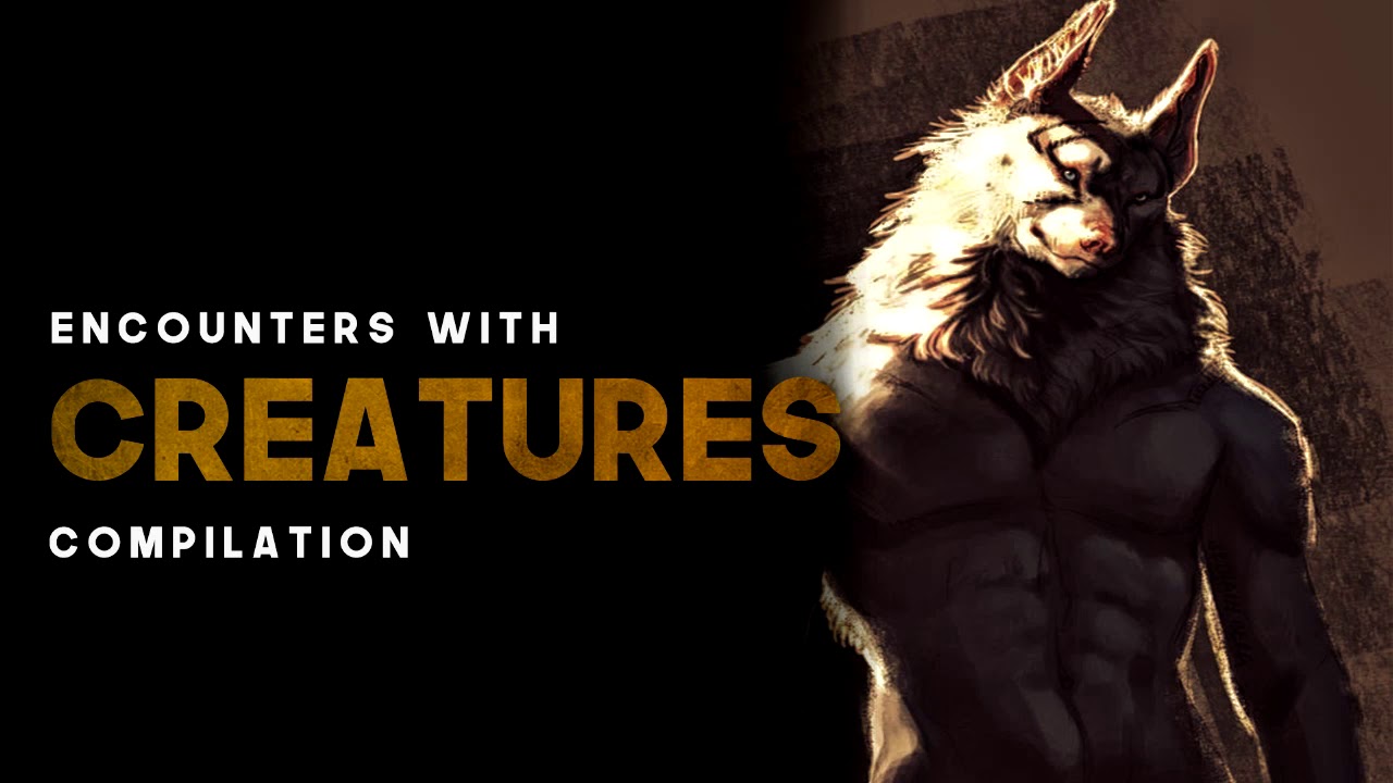 Creature Encounters - Massive Compilation - What Lurks Beneath