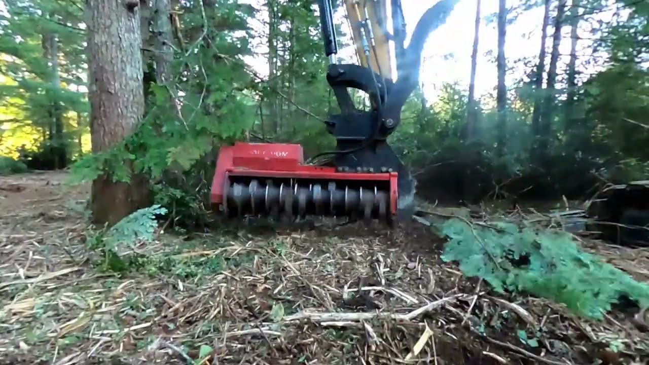 Forestry Mulching Washington State