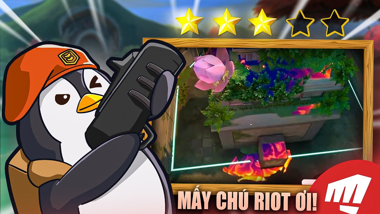 TÔI ĐÁNH GIÁ MOLLY LINEUP CỦA BẠN 🔥#2