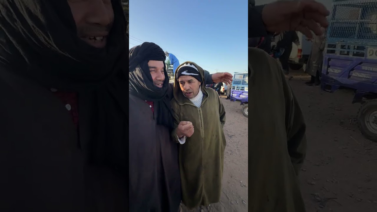 حرفيي أسواق الماشية من سبت الكردان أحد الأسواق الأسبوعية بهوارة