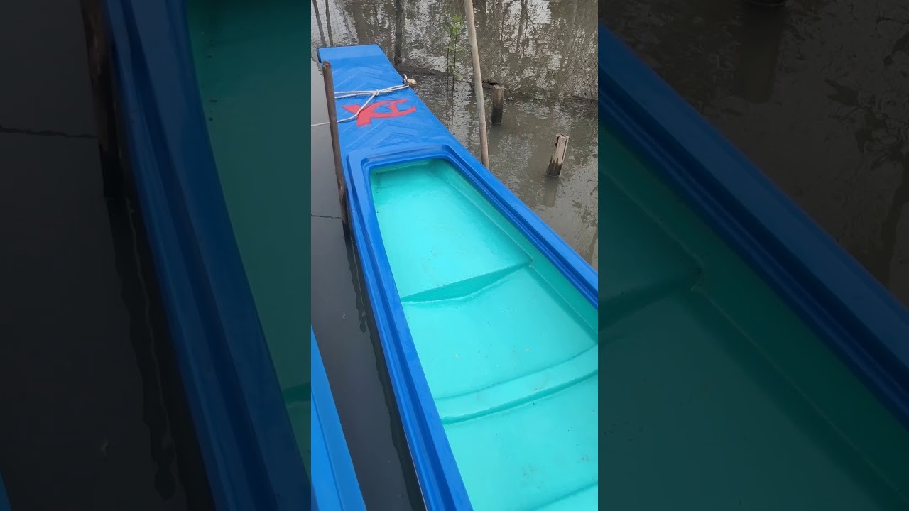 Vỏ  X1 hữu vui (đ&atilde; b&aacute;n)