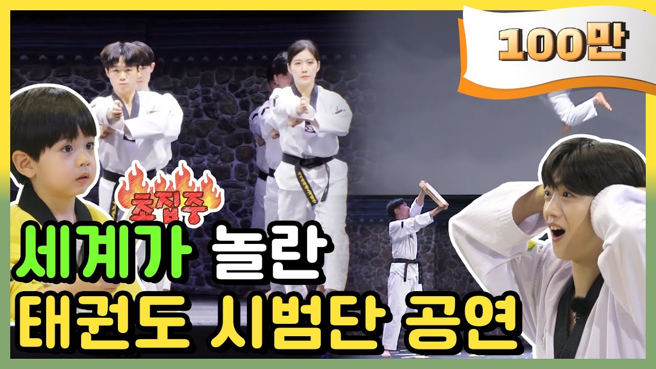 👏특별공연👏 국가대표 태권도 시범단의 위엄 