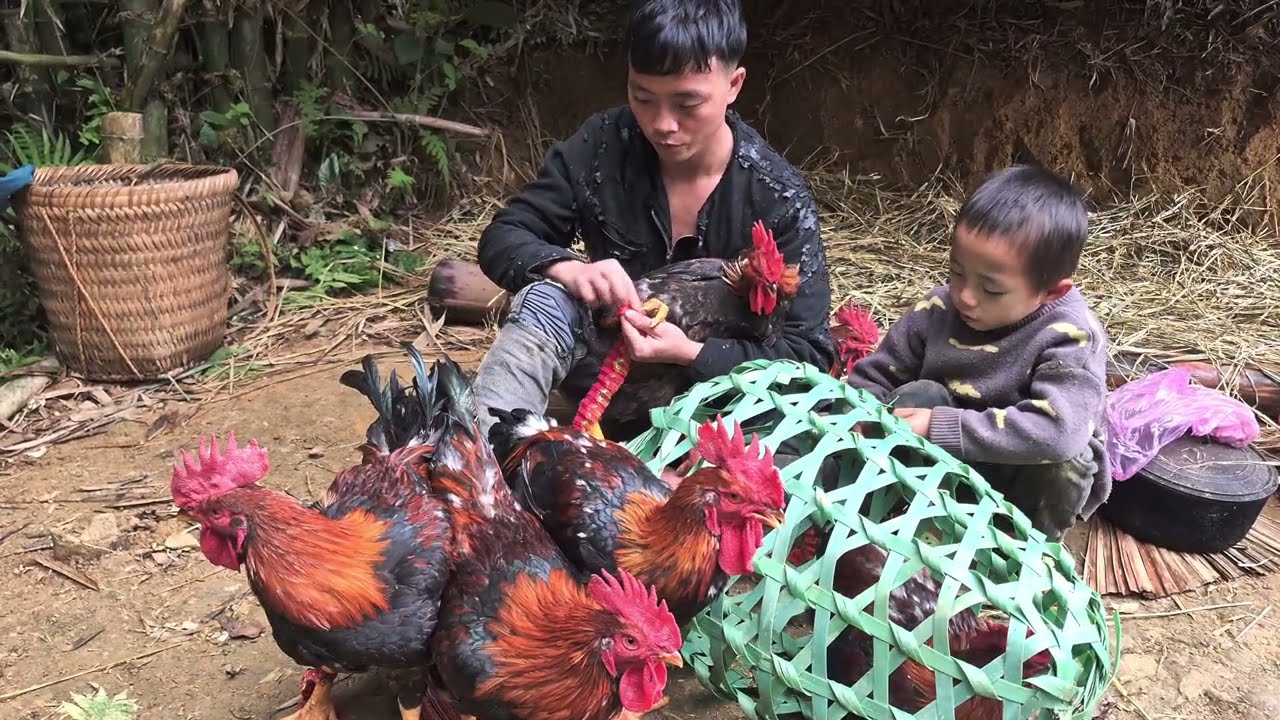 hai bố con đi mua gà về nuôi và mang hai con đi tham bé gái bị ốm và đưa bé về nhà