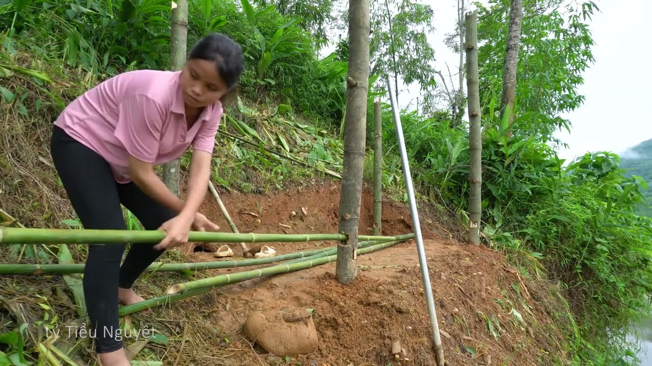 Single mom leaves the city for the forest to build a new bamboo house