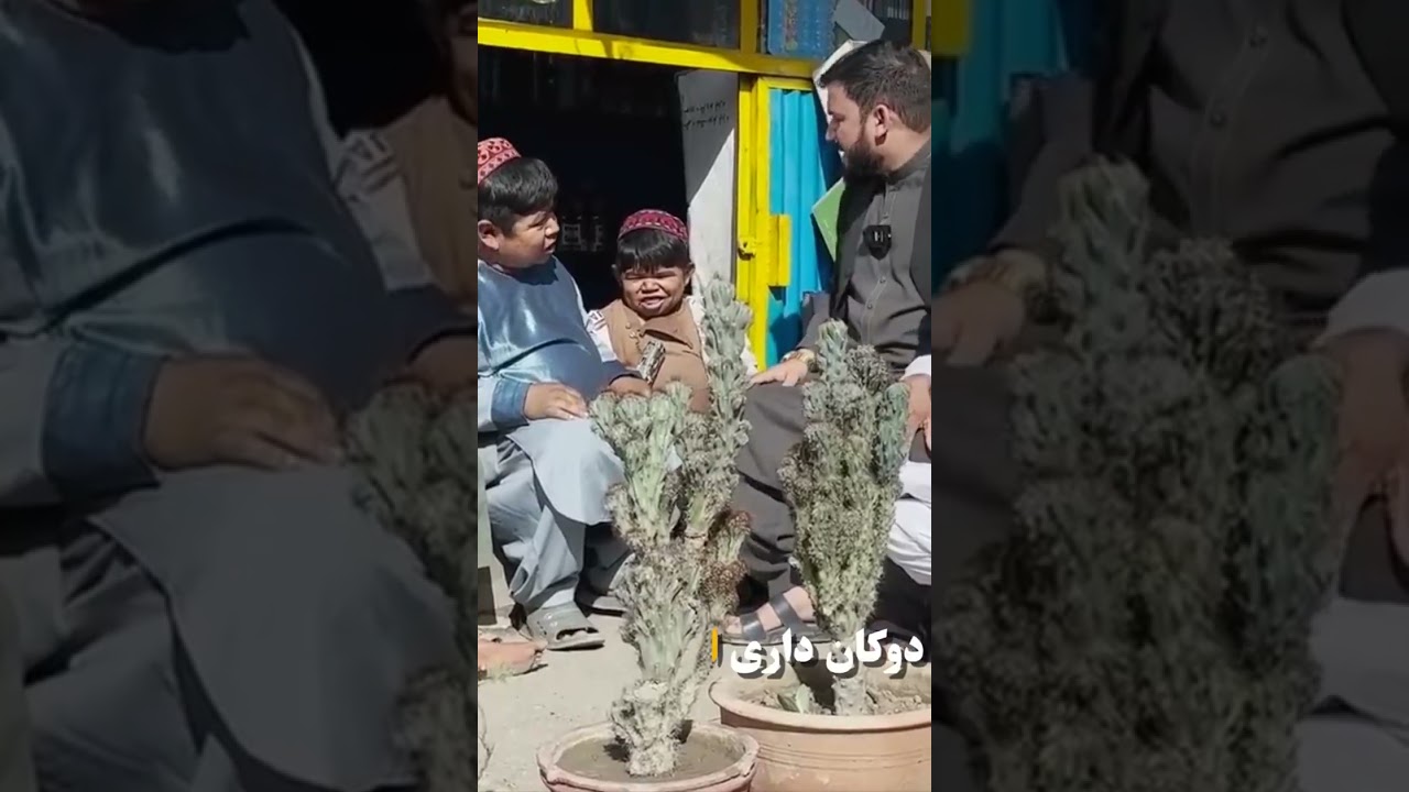 مسلم او د قمر ډالۍ  #qamar # #charity