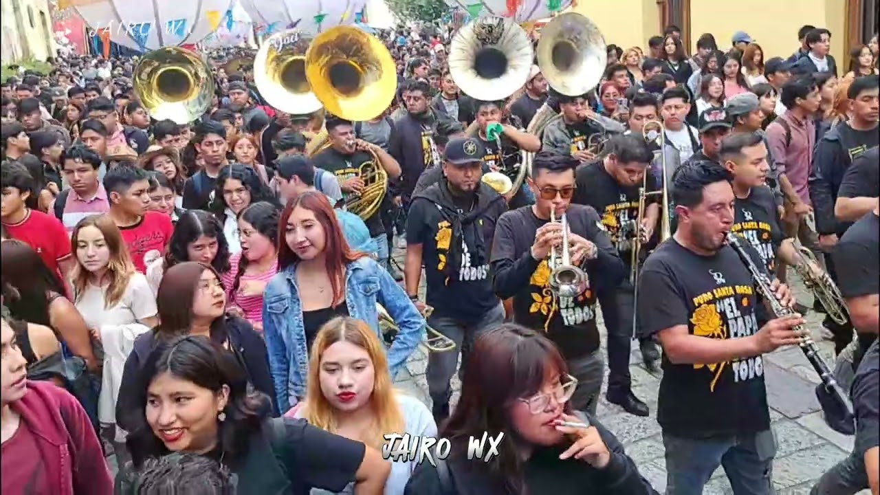 SOMOS ARRIBEÑOS 🔥🔥BANDA PURO SANTA ROSA/ LA DANZA DEL COYOTE Y MAS DESDE EL CENTRO DE OAXACA