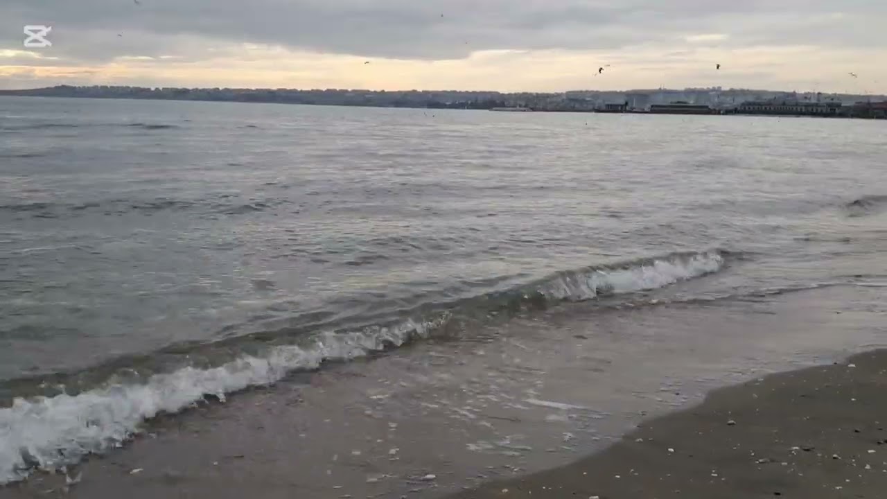 Dinlendirici Deniz Sesi/Sahil İzle