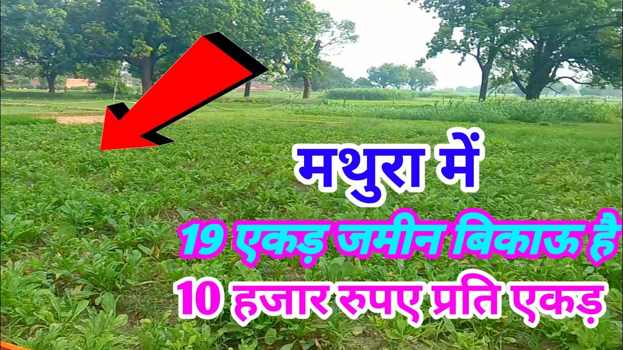 मथुरा में 19 एकड़ जमीन बिकाऊ है मात्र ₹10000 प्रति एकड़ के हिसाब से Mathura mein jameen bikau hai