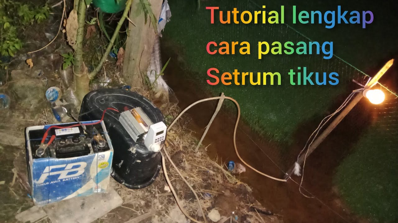 Tutorial lengkap cara pasang setrum tikus