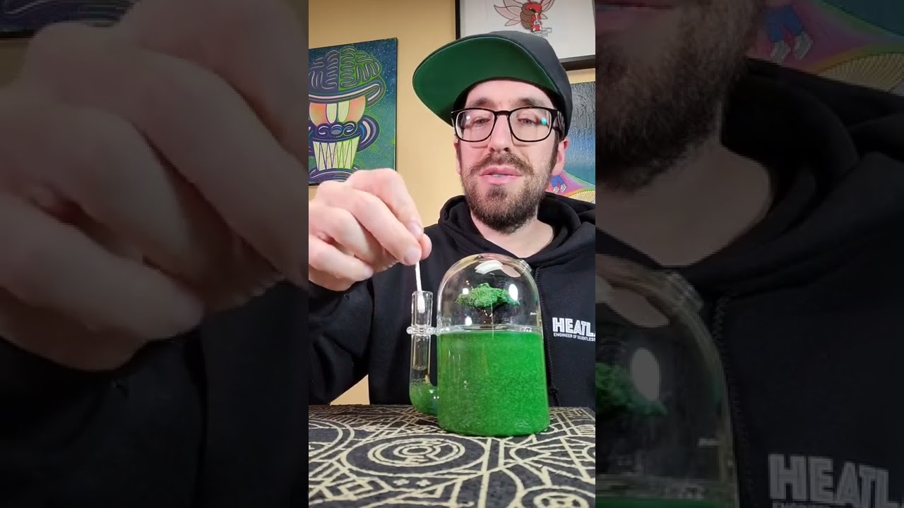 How To DAB from a BONSAI TREE