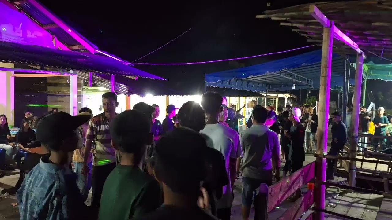 Live Nias Paling Gacor Karmila// Lasara Bahili Kec. Moroò