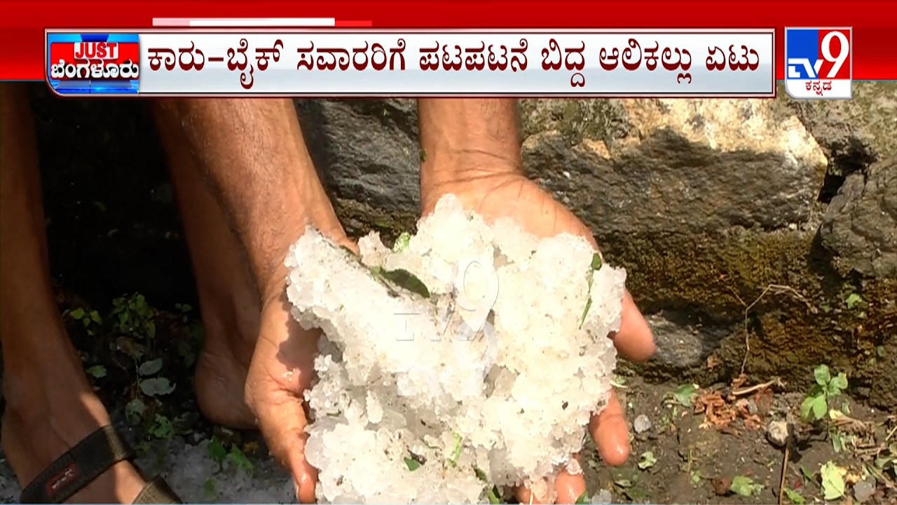 Bengaluru Rainfall: ಬೆಂಗಳೂರಲ್ಲಿ ಆಲಿಕಲ್ಲು ಮಳೆ ಅಬ್ಬರ ಮಳೆ ಏಟಿಗೆ ಸವಾರರು ತತ್ತರ ಮರ ಉರುಳಿ ಕೆಲವೆಡೆ ಅವಾಂತರ