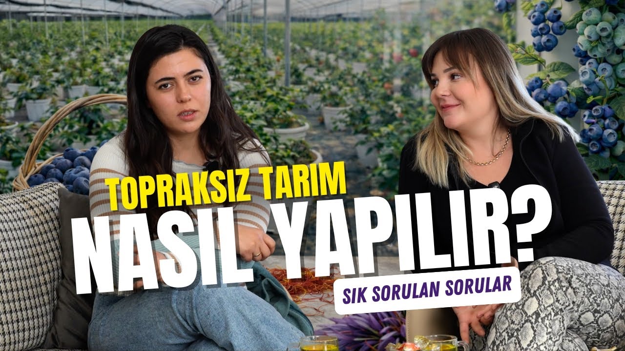 Topraksız Tarım, Safran ve Berry Üretimi Hakkında Merak Edilenler