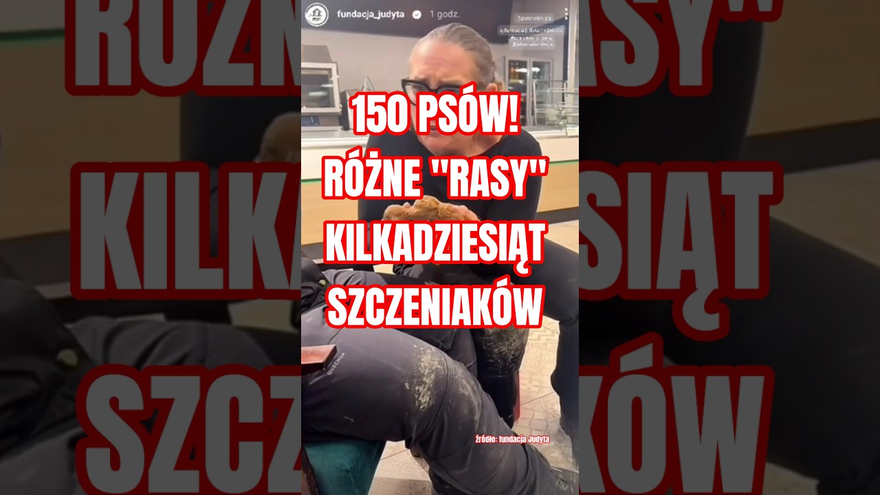 Nie będzie miał kto ratować zwierząt. #fundacjajudyta #dog #info