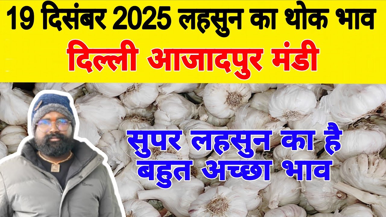 19 Dec 25 | Today Garlic Market Price | Garlic Price The Shocking Prediction #mandirates #garlic