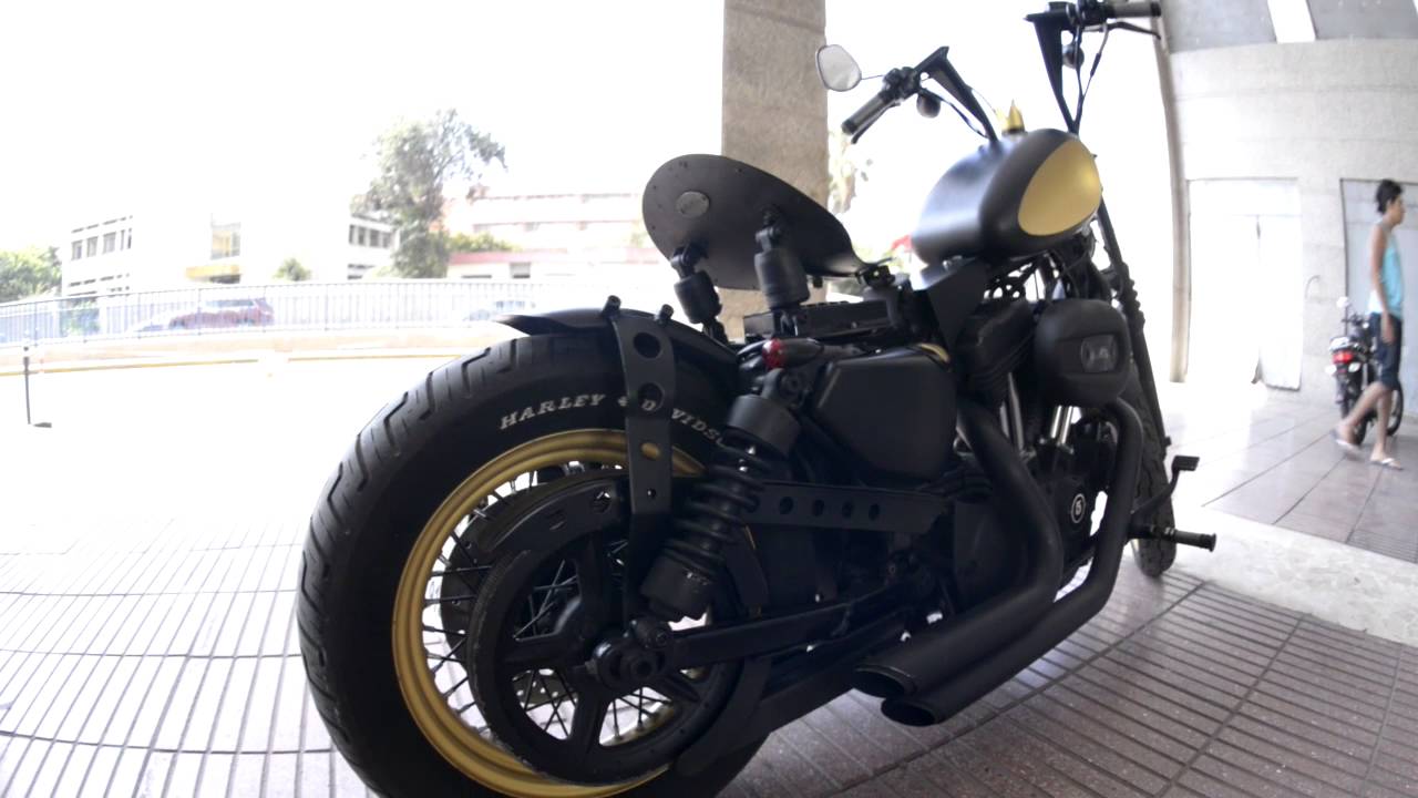 HARLEY DAVIDSON 1200 cc Customiser