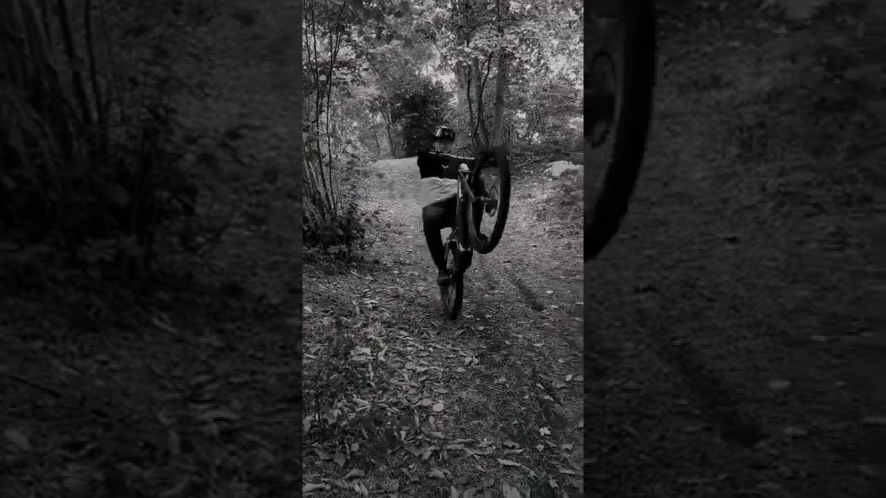 ebike manual. #mtb #ebike #ebikes #mtbcoach #mtbcoaching #emtb #wheelie #manual