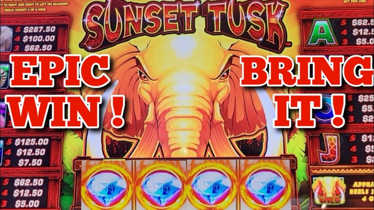 Sunset Tusk ( HUGE WIN! ) Max Bet Bonus BRING IT