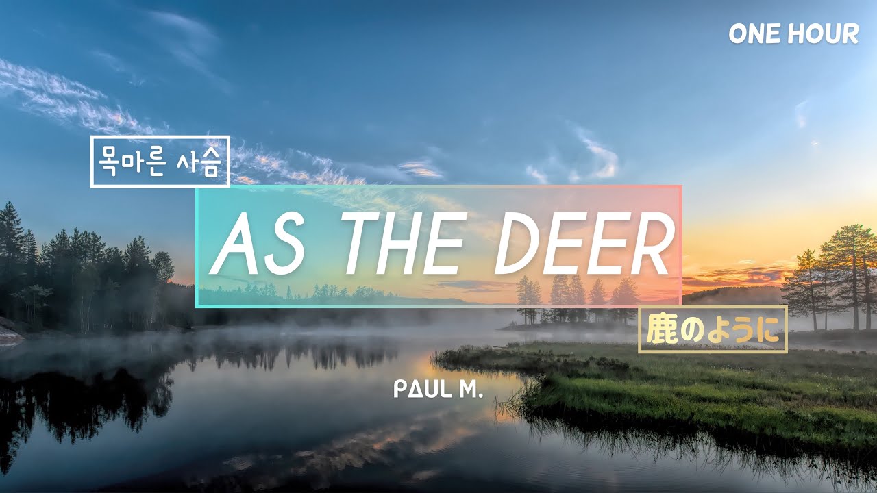 As The Deer - One Hour of Praise & Worship on Piano⎪Peaceful Prayer Instrumental // PAUL M. 공민