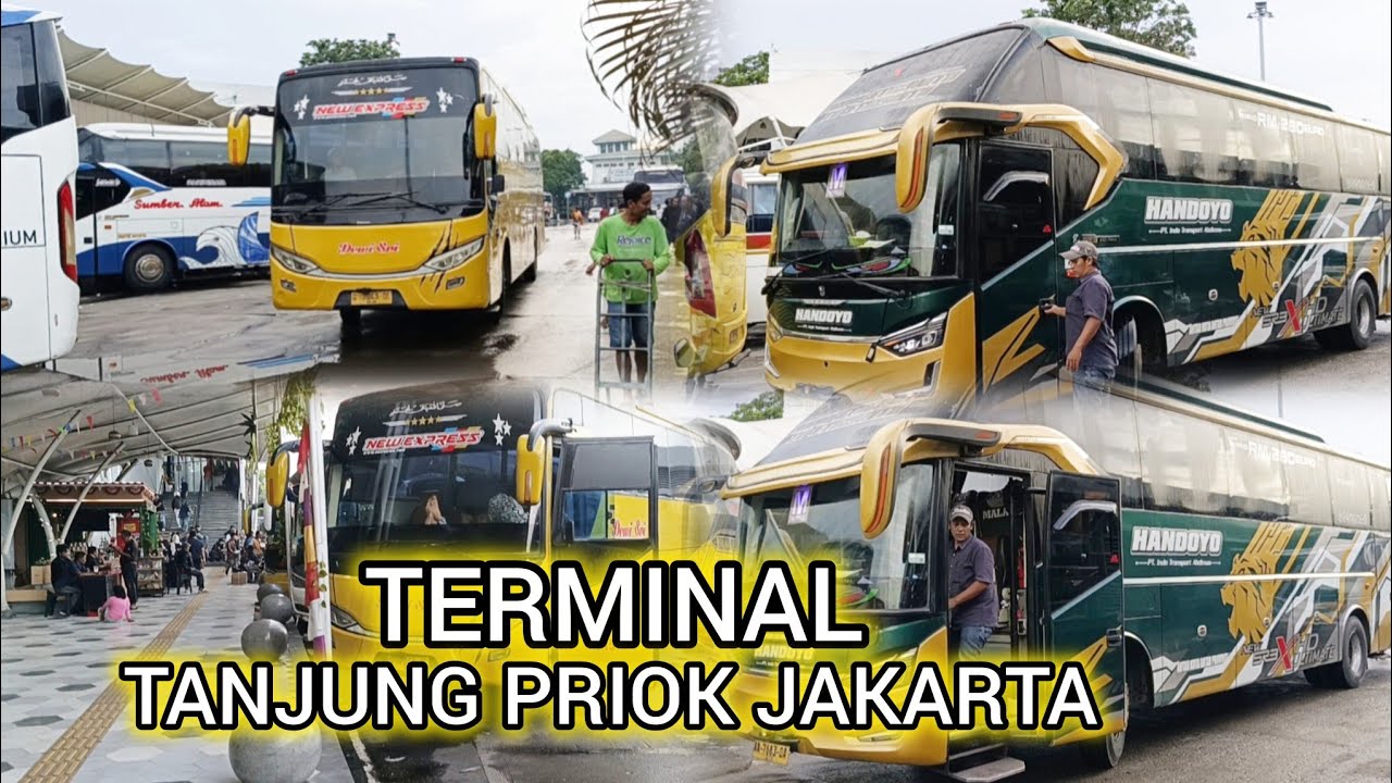 Terminal Tanjung Priok !! Dengan Bus Dewisri,Handoyo,Agramas,DAMRI, KYM Trans. Dll...