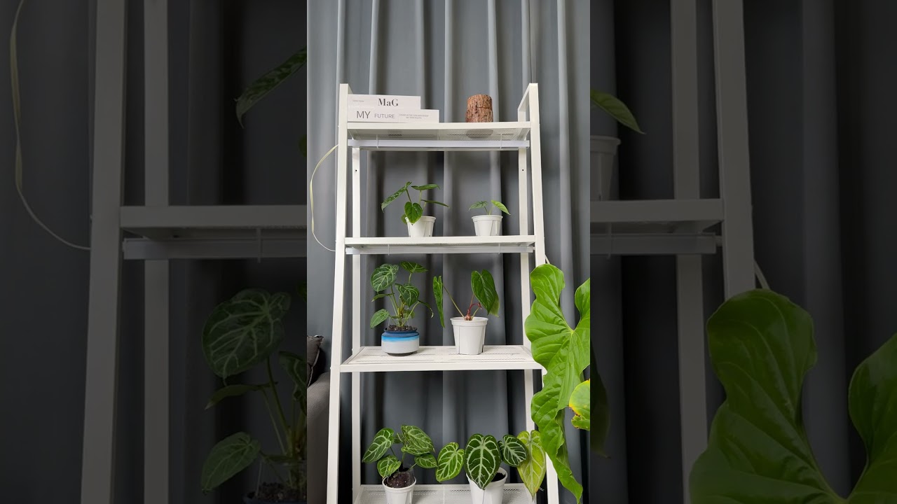🌿 Easy Install with Barrina T5 Grow Light✨Make Your Plant Shelf Perfect! #barrina #barrinagrowlight