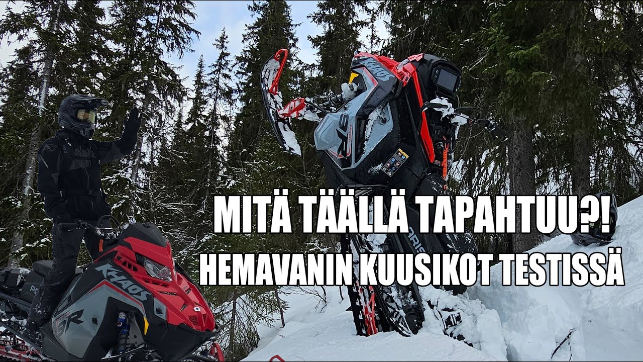 Hemavanin kuusikot testissä – vinkkejä kelkkailuun ja ajofiiliksiä!