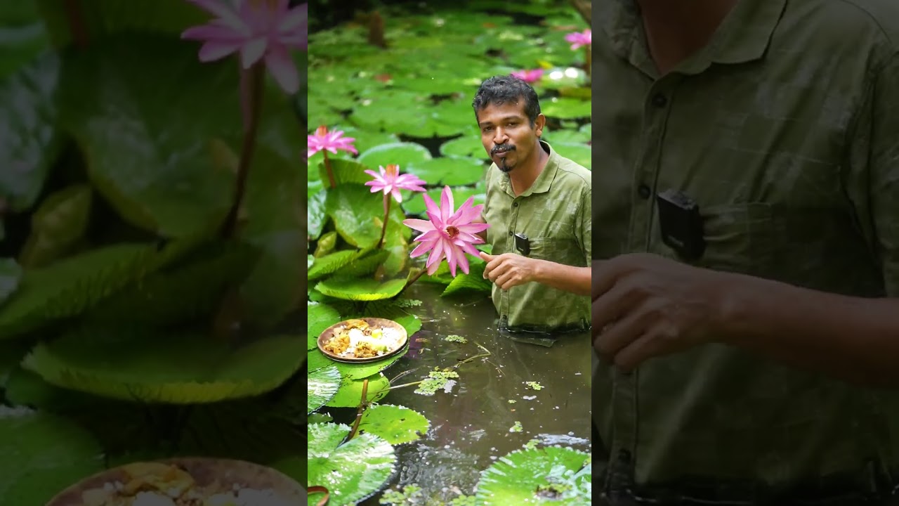 You Can Actually Eat Lotus Flowers! 🍽️🌺 #foodsurprise