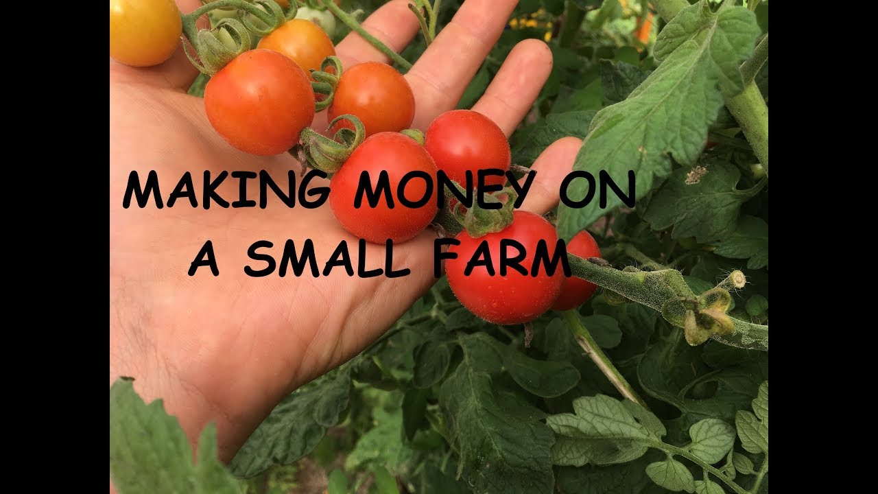Making Money on a Small Farm