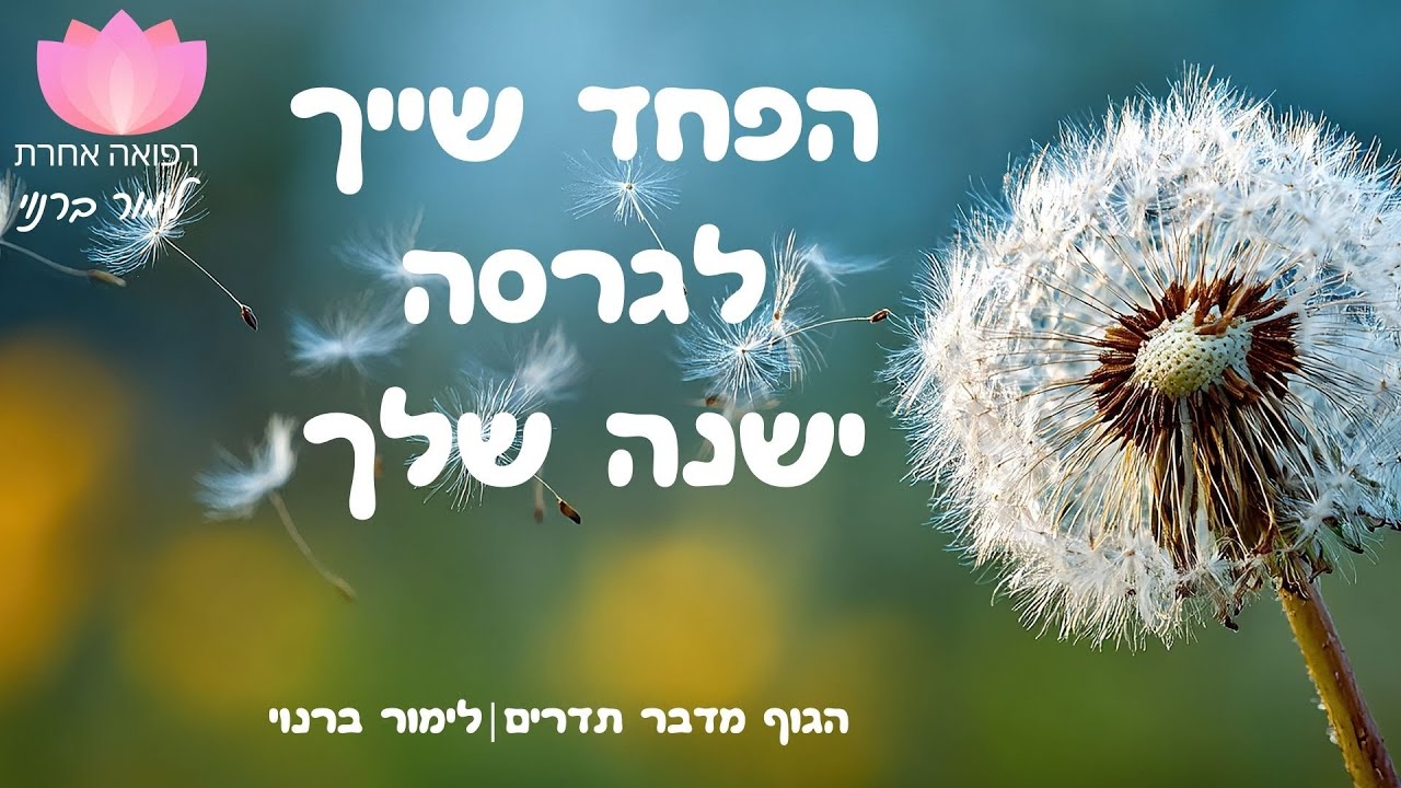 הפחד שייך לגרסה ישנה שלך | הגוף מדבר תדרים- לימור ברנוי