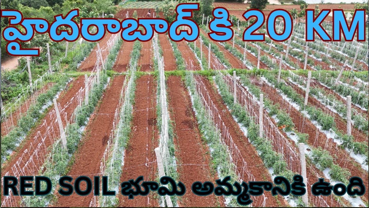 హైదరాబాద్ కి 20 KM తక్కువ ధర లో CLEAR TITLE RED SOIL FULL WATER ఉన్న  భూమి అమ్మకానికి ఉంది