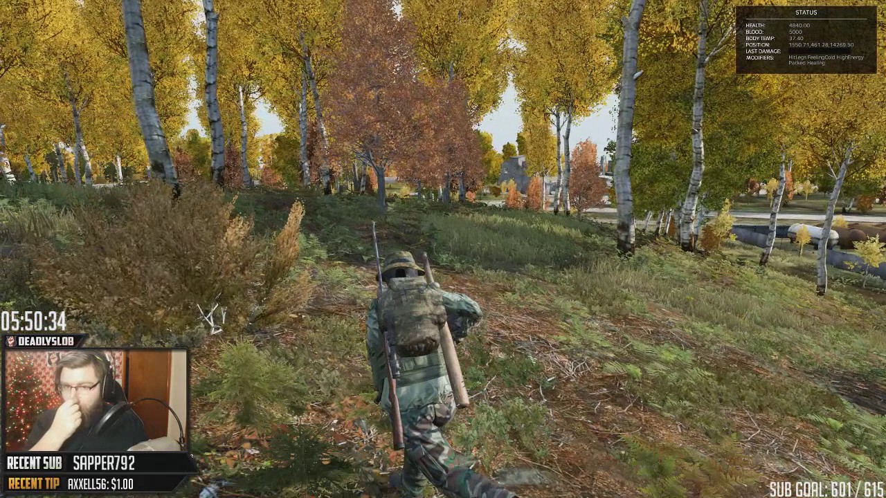 DAYZ .61 GAMEPLAY - AK101 & WOLVES ATTACK