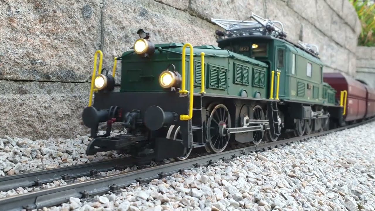 Schweizer Krokodil, Fahrt auf meiner Spur G Gartenbahn Anlage 2