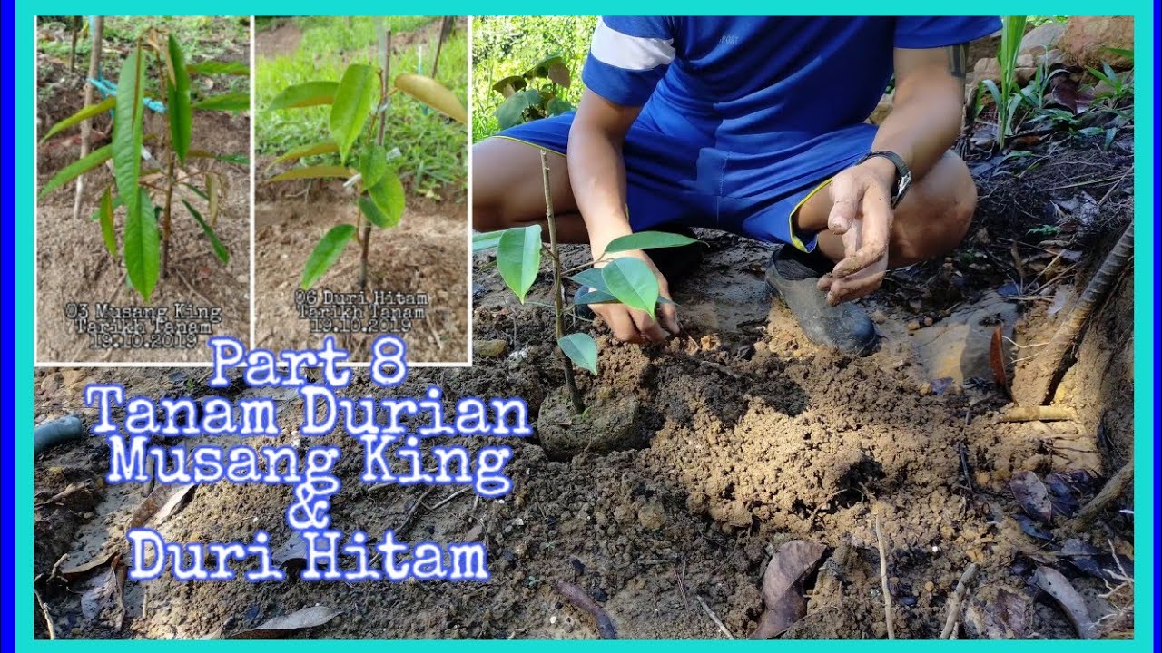 #GardenStanLy Part 8 