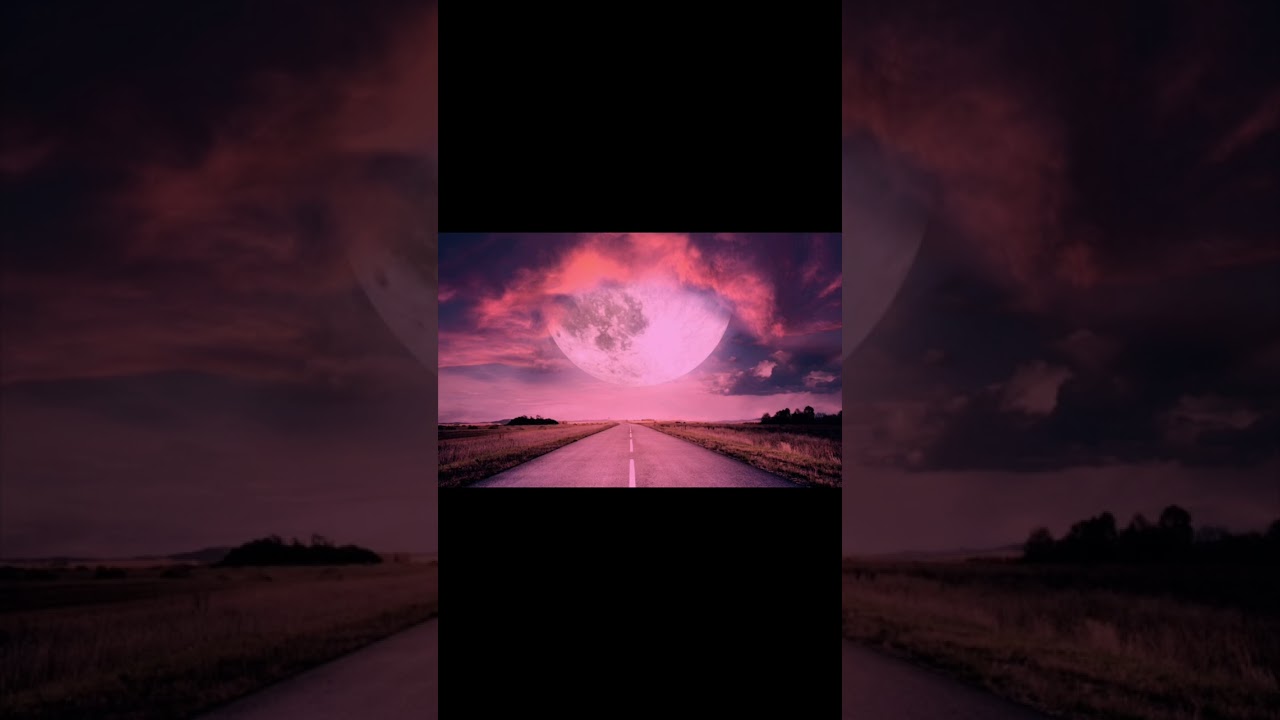 Someone like you sung by: hardcorepatriot written by: hardcorepatriot