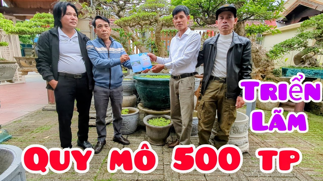 BTC cây cảnh xã Yên Mô Ninh Bình đến thăm và mời tác phẩm tham dự triển lãm xã Yên mô