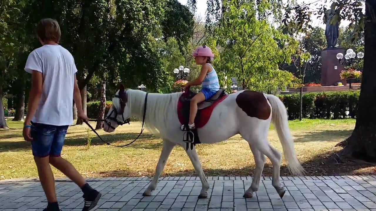 Horse Rides. Taras Shevchenko Park. Kiev. Ukraine. 2015-09-02