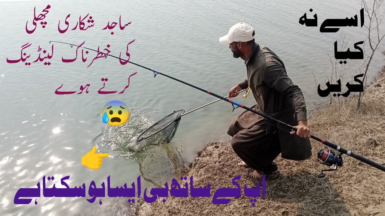 Mangla dam fishing new update| ہائی بریڈ  کی بہت اچھی گیم|Mergal fishing|catla fishing.