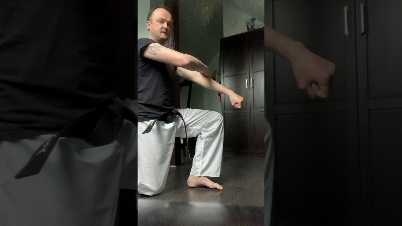 Karaté confiné de la Robertsau / Séance n°1