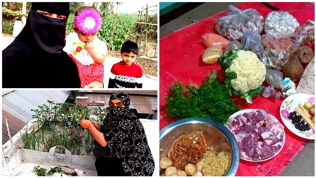 🛒 বাজার করলাম + 🍅 ছাদবাগানে টমেটোর চারা লাগালাম | Daily Vlog#VillageLife#gardening #dailyvlog 